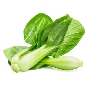 Chinese Cabbage