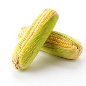 Corn on the Cob